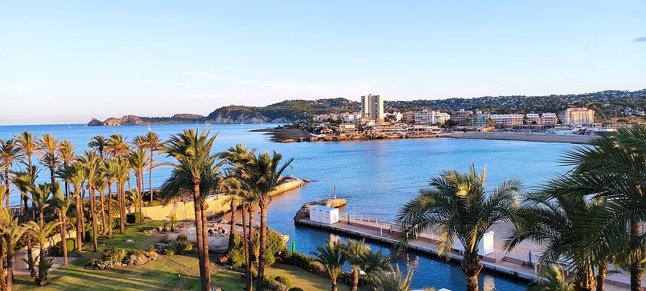 The Arenal bay seen from above — palms in the foreground, the working port on the headland opposite, apartment blocks behind the beach